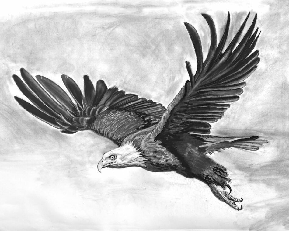 Scott Higgins Charcoal