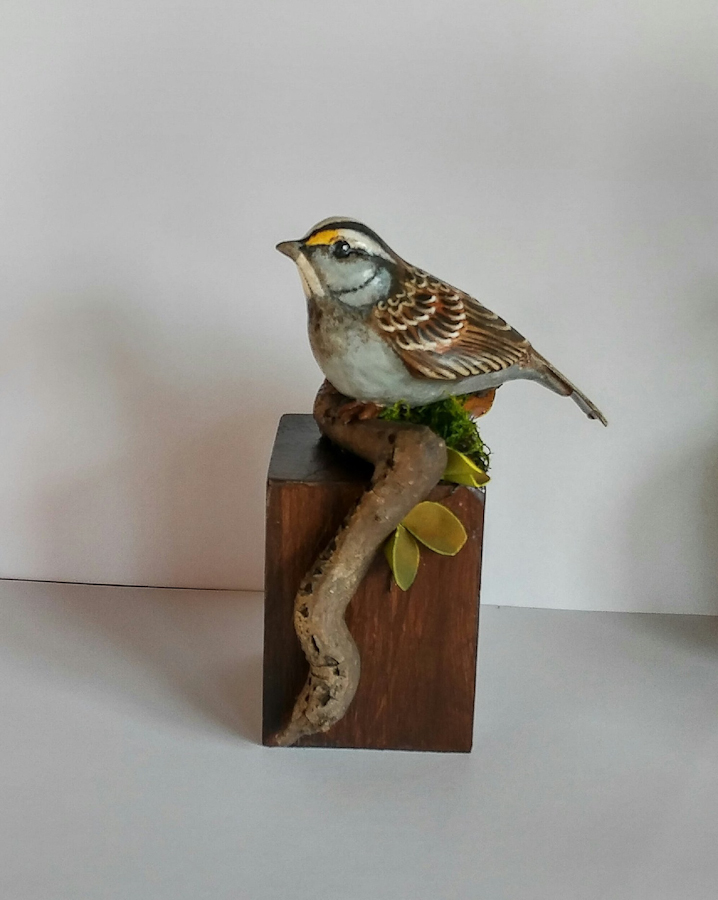 Patti Umlauf, Jessie's Corner